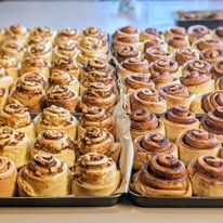 Rows of cinnamon rolls on baking trays