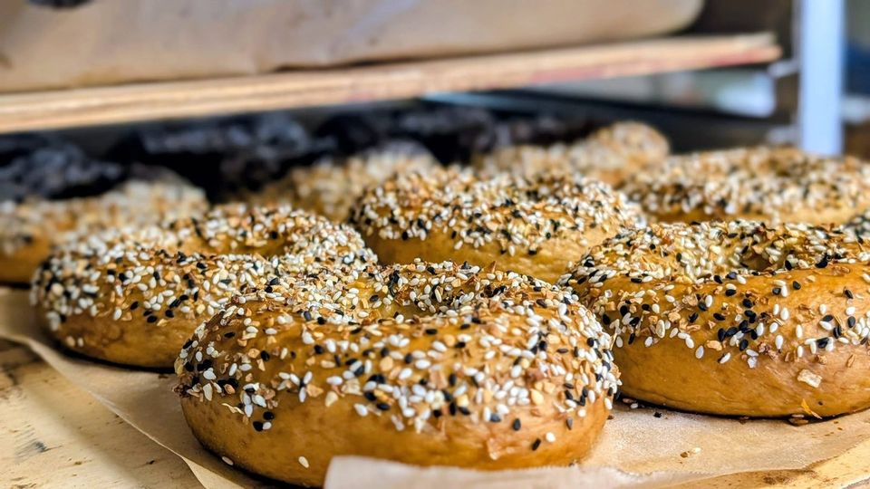 Sourdough bagels with everything seasoning on a tray