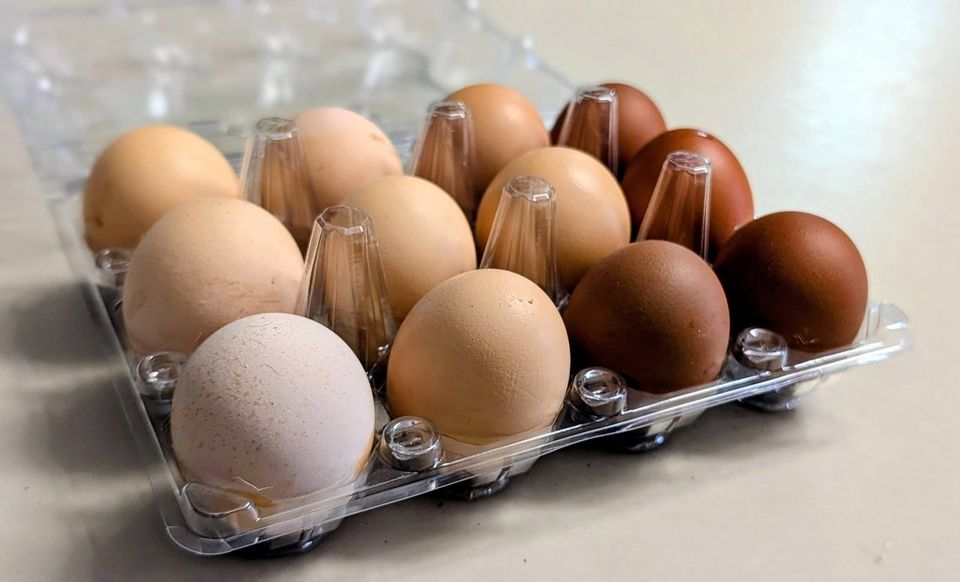 Brown and cream eggs in a carton